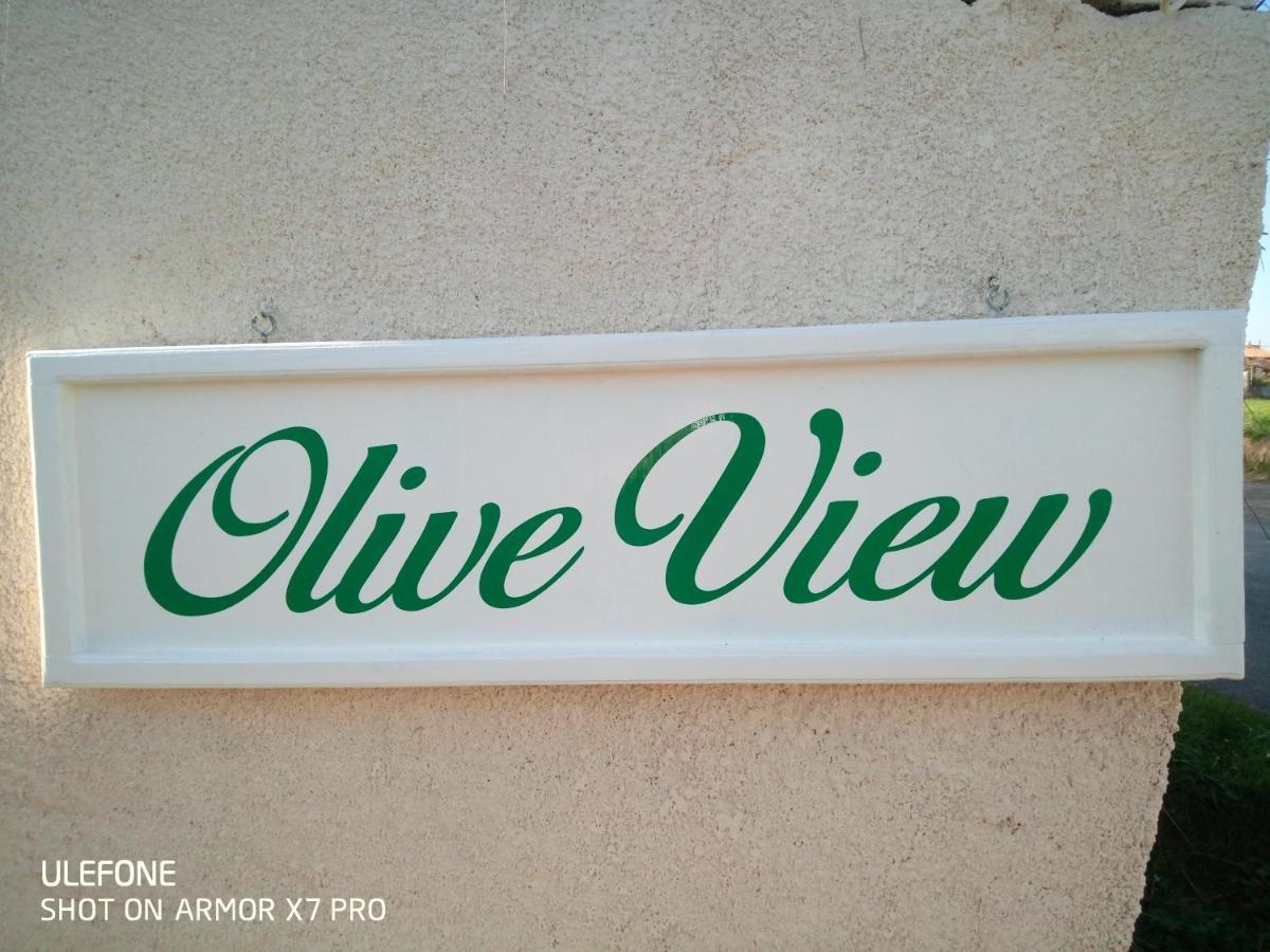 Вілла Olive View Puissalicon Екстер'єр фото